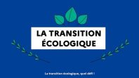 VISUEL_ARTICLE