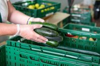 Don aide alimentaire
