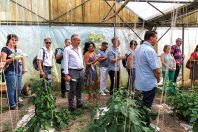 Des élus et des techniciens de la métropole ont visité une exploitation maraîchère lors de la mise en place du projet alimentaire.