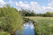 Un watergang est un fossé ou un ouvrage de drainage à vocation de dessèchement de bas-marais