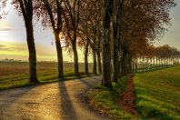 AdobeStock_238890564