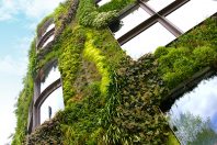Mur-Vegetalise