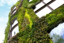 Mur-Vegetalise