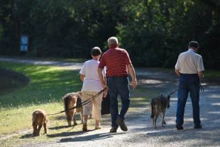 Isolement des seniors