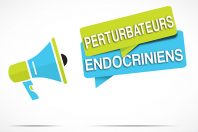 devellopement personnel