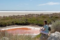 La salinisation des sols et des eaux menace la Camargue