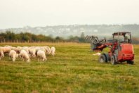 Agriculture