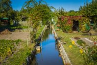 The marshes of Bourges (Berry, France) are 135 hectares of swamp