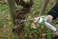 Les phéromones produites par M2i repoussent naturellement les insectes.