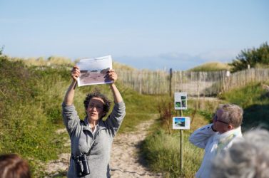 La préservation de la biodiversité et la prise en compte du recul du trait de côte ont été les deux points d'entrée du projet de cheminement pédestre littoral.