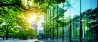 Végétalisation : comment les arbres gagnent les villes