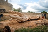 Un cèdre du Liban a été abattu au sein de la ville de Melle (Deux-Sèvres) pour cause de maladie et transformé en oeuvre d'art.