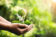 écologie-lovelyday12-AdobeStock_501999339