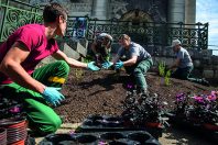 Metier, profession, agent municipal, gestion et entretien des espaces verts jardins publics