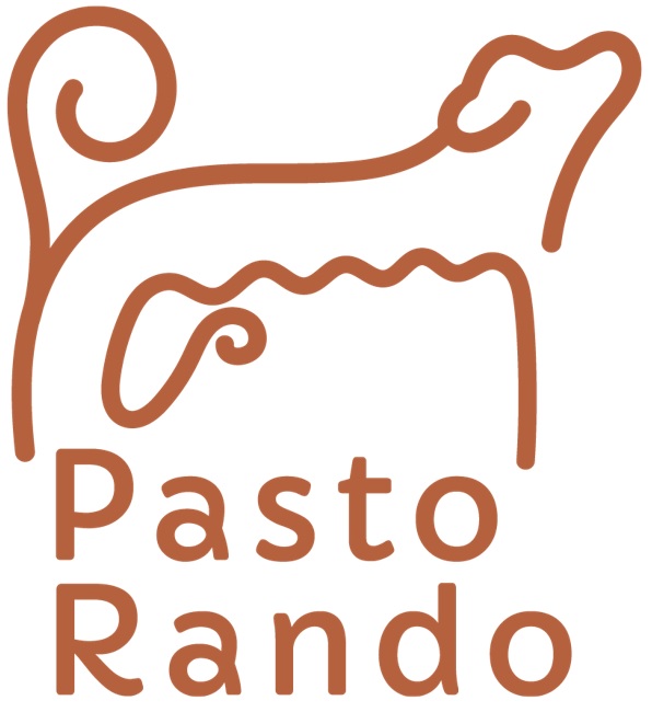 logo pastorando
