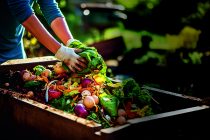 Person composting organic waste in a backyard created with Gener