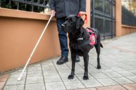 AdobeStock_236372351 (1)