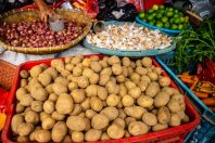 Alimentation en Martinique