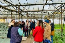 Bordeaux Métropole a recruté des agents spécialisés sur les questions agricoles et alimentaires pour accompagner
son projet alimentaire.