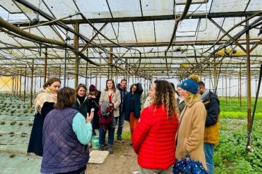 Bordeaux Métropole a recruté des agents spécialisés sur les questions agricoles et alimentaires pour accompagner
son projet alimentaire.