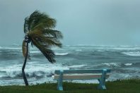 Cyclone Martinique