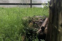 Treilleres 2
