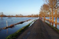 L'île de Chaillac-sur-Vienne durant les inondations de fin mars 2024.