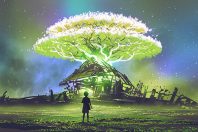 Un arbre pousse dans les ruines d'une maison