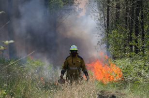 Les sapeurs-pompiers obtiennent la reconnaissance de deux nouveaux cancers
