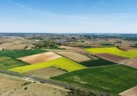 « Territoires : quand le paysage coûte moins cher que l’inaction »
