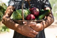 Alimentation