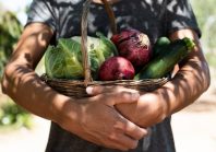 De la ville à la campagne, des innovations pour le droit à une alimentation de qualité