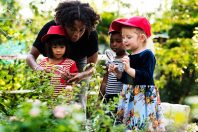 De jeunes enfants étudient les plantes