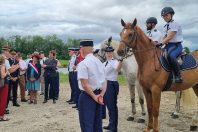 Les chevaux lors de l'inauguration de la brigade.