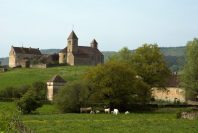 patrimoine-JAG IMAGES-AdobeStock_961881867