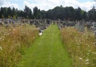 Préservation de l’environnement dans les cimetières : prescriptions et leviers d’action des communes