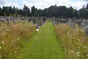 Végétalisation cimetières rennais