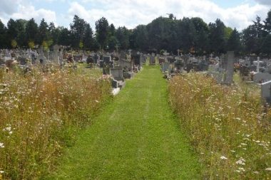 Végétalisation cimetières rennais