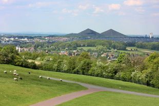 Nord - Pas-de-Calais - panorama avec terrils