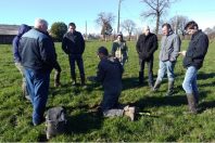 Pour réduire les fuites d’azote à la parcelle, le dialogue avec les agriculteurs et l’accompagnement agronomique
ont été déterminants.