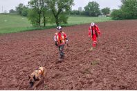 Un malinois aide les équipes de Veolia à traquer les fuites d'eau.