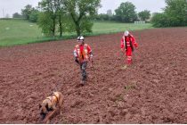 Un malinois aide les équipes de Veolia à traquer les fuites d'eau.