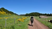 paysage-randonneur- Bernard 63-AdobeStock_84473903
