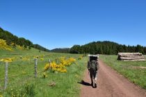 paysage-randonneur- Bernard 63-AdobeStock_84473903