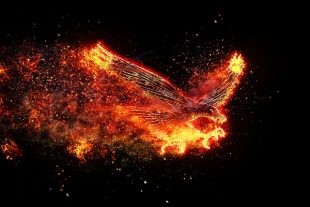 Un phénix