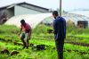La qualité des terres, la ressource en eau et la proximité des lieux de commercialisation sont des facteurs décisifs dans la mise en route d’une ferme.