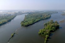 Ile de Loire
