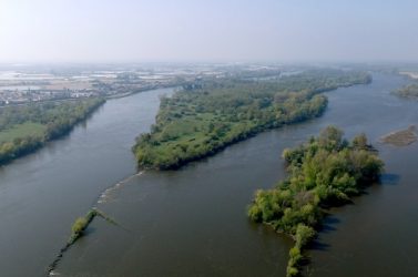 Ile de Loire
