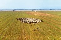Le site de Cossure, dans les Bouches-du-Rhône, piloté par CDC Biodiversité