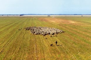 Le site de Cossure, dans les Bouches-du-Rhône, piloté par CDC Biodiversité